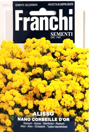 Alyssum Nano Corbeille D Or Yellow Seeds